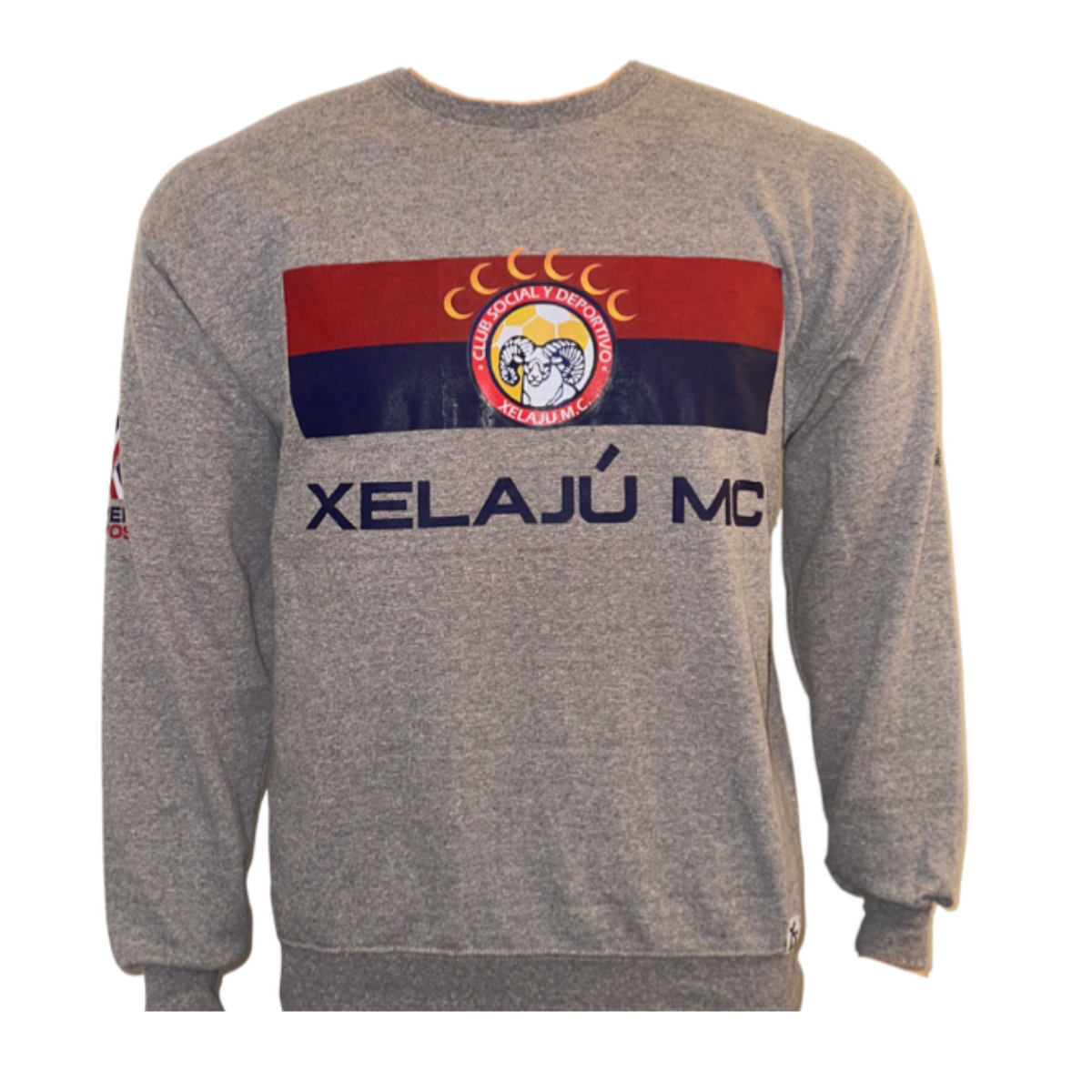 Sweatshirt Gris Xela