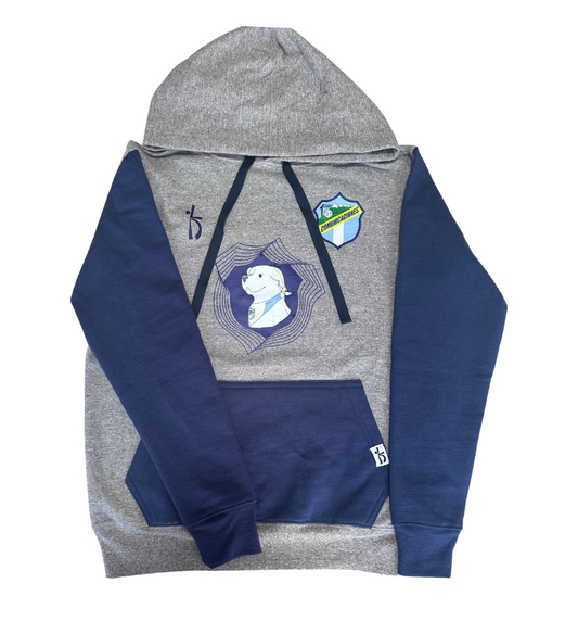 Hoodie para niño gris con azul Comunicaciones